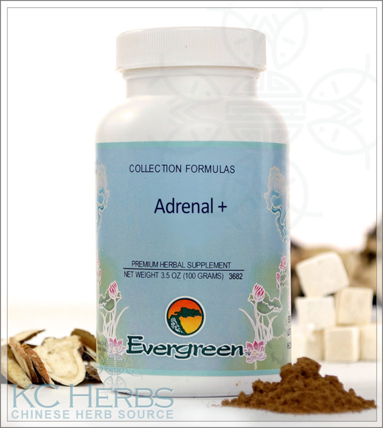 Adrenal Evergreen Herbs Treat Adrenal Fatigue Kc Herbs