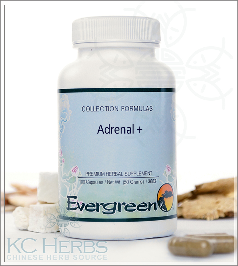 A bottle of Adrenal + can treat adrenal fatigue