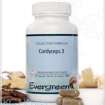 Cordyceps 3 Evergreen