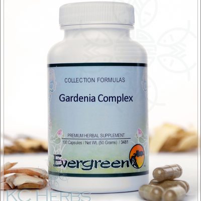 Gardenia Complex Evergreen