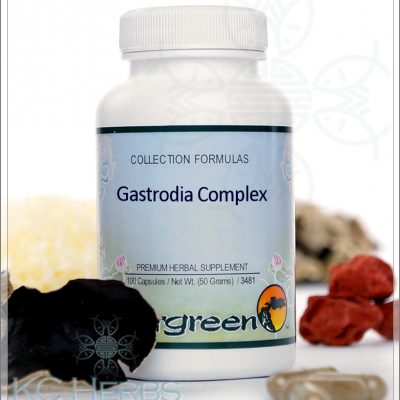 Gastrodia Complex Evergreen