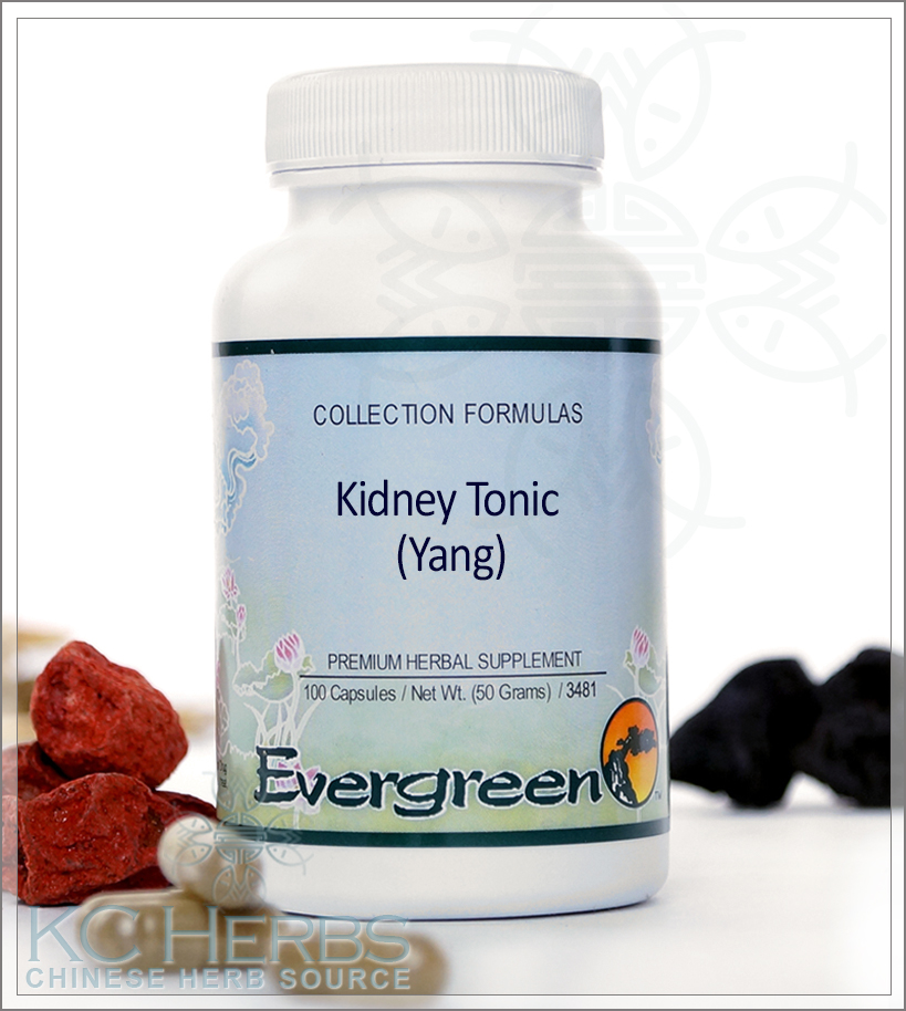Kidney Tonic Yang by Evergreen