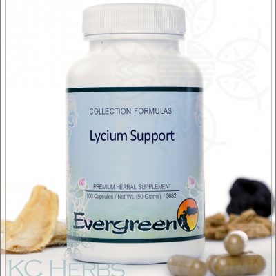 Lycium Support by Evergreen