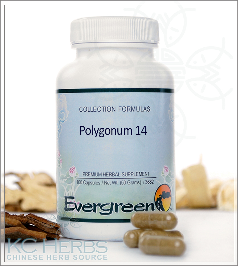 Polygonum 14 by Evergreen