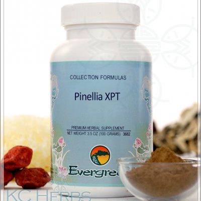 Pinellia XPT Evergreen Granules