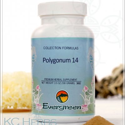 Polygonum 14 Evergreen Granules