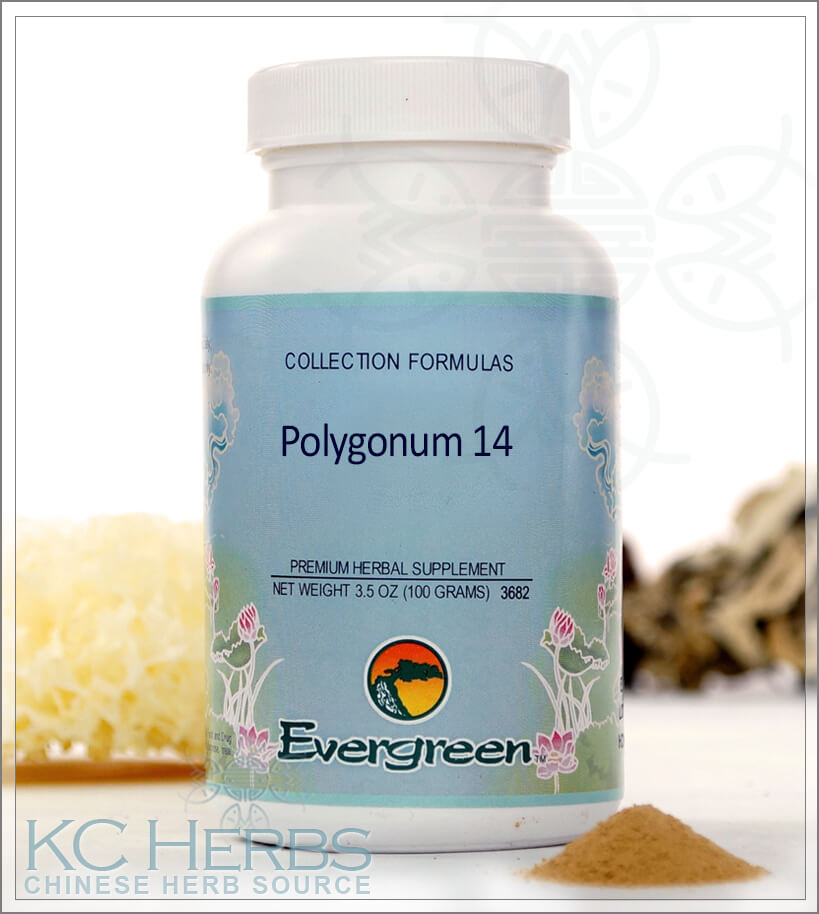 Polygonum 14 By Evergreen Herbs Kc Herbs