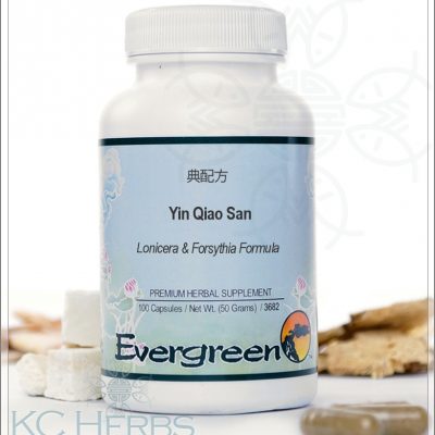 Yin Qiao San Evergreen Herbs